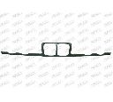 Rama, grila radiator PRASCO BM0422305