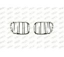 Grila radiator PRASCO BM0452003</br>Piesa auto pentru Elemente/Piese montaj