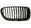 Grila radiator PRASCO BM0482003</br>Piesa auto pentru Elemente/Piese montaj
