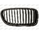 Grila radiator PRASCO BM0492003</br>Piesa auto pentru Elemente/Piese montaj