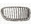 Grila radiator PRASCO BM0492013