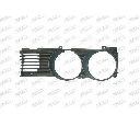 Grila radiator PRASCO BM0952004</br>Piesa auto pentru Elemente/Piese montaj