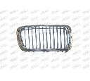 Grila radiator PRASCO BM0972014</br>Piesa auto pentru Elemente/Piese montaj