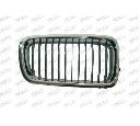 Grila radiator PRASCO BM0982003
