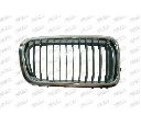 Grila radiator PRASCO BM0982013