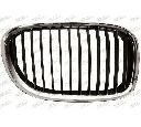 Grila radiator PRASCO BM1012003</br>Piesa auto pentru Elemente/Piese montaj