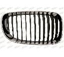 Grila radiator PRASCO BM1212003</br>Piesa auto pentru Elemente/Piese montaj
