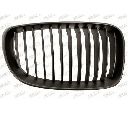 Grila radiator PRASCO BM1212013</br>Piesa auto pentru Elemente/Piese montaj