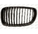 Grila radiator PRASCO BM1212014</br>Piesa auto pentru Elemente/Piese montaj