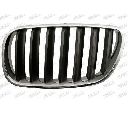 Grila radiator PRASCO BM8032004
