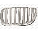Grila radiator PRASCO BM8032014</br>Piesa auto pentru Elemente/Piese montaj