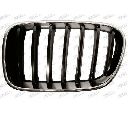 Grila radiator PRASCO BM8042004</br>Piesa auto pentru Elemente/Piese montaj