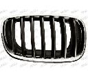 Grila radiator PRASCO BM8222003</br>Piesa auto pentru Elemente/Piese montaj