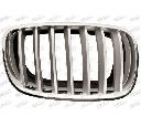 Grila radiator PRASCO BM8222013</br>Piesa auto pentru Elemente/Piese montaj