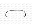 Banda de protectie, grila radiator PRASCO CI2032206</br>Piesa auto pentru Elemente/Piese montaj