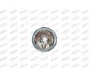 Proiector ceata PRASCO CI3204413</br>Piesa auto pentru Far ceata / Elemente
