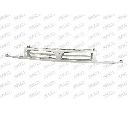 Grila radiator PRASCO DS0052001