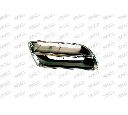 Grila radiator PRASCO DS0072113