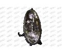 Far PRASCO DS0114813