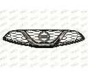 Grila radiator PRASCO DS0152001</br>Piesa auto pentru Elemente/Piese montaj