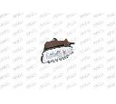 Proiector ceata PRASCO DS4224413</br>Piesa auto pentru Far ceata / Elemente