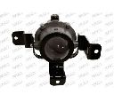 Proiector ceata PRASCO DW3404423