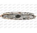 Grila radiator PRASCO FD1052001</br>Piesa auto pentru Elemente/Piese montaj