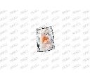 Semnalizator PRASCO FT1274014