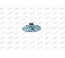 Semnalizator PRASCO FT1324041</br>Piesa auto pentru Semnalizare / elemente