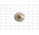 Semnalizator PRASCO FT1334139
