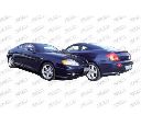 Proiector ceata PRASCO HN6244414OE</br>Piesa auto pentru Far ceata / Elemente