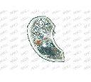 Semnalizator PRASCO HN8224013</br>Piesa auto pentru Semnalizare / elemente
