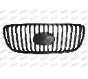 Grila radiator PRASCO KI3202001