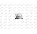 Semnalizator PRASCO MB0744013