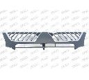 Grila radiator PRASCO MB8202011</br>Piesa auto pentru Elemente/Piese montaj