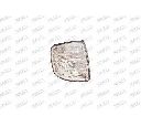 Semnalizator PRASCO ME0154014