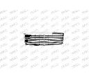 Grila radiator PRASCO ME0352010
