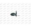 Oglinda exterioara PRASCO ME3027123</br>Piesa auto pentru Celula pasager