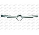 Banda de protectie, grila radiator PRASCO OP0322206</br>Piesa auto pentru Elemente/Piese montaj