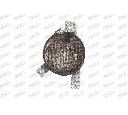 Proiector ceata PRASCO OP3044413</br>Piesa auto pentru Far ceata / Elemente