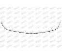 Rama, grila radiator PRASCO OP4162305</br>Piesa auto pentru Elemente/Piese montaj