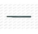 Elemente decorative/protectie, portiera PRASCO PG0091404</br>Piesa auto pentru Elemente/Piese montaj