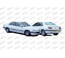 Aripa PRASCO PG0573004</br>Piesa auto pentru Fata vehicul