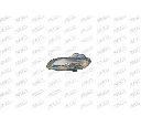 Proiector ceata PRASCO PG0574413