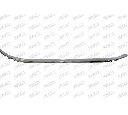 Banda de protectie, grila radiator PRASCO PG0612206</br>Piesa auto pentru Elemente/Piese montaj