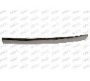 Banda de protectie, grila radiator PRASCO PG2022216</br>Piesa auto pentru Elemente/Piese montaj