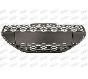 Grila radiator PRASCO PG3262001</br>Piesa auto pentru Elemente/Piese montaj