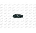 Grila radiator PRASCO RG6202001</br>Piesa auto pentru Elemente/Piese montaj