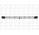 Grila radiator PRASCO RN0232011</br>Piesa auto pentru Elemente/Piese montaj