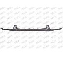 Acoperire, grila radiator PRASCO RN3202305